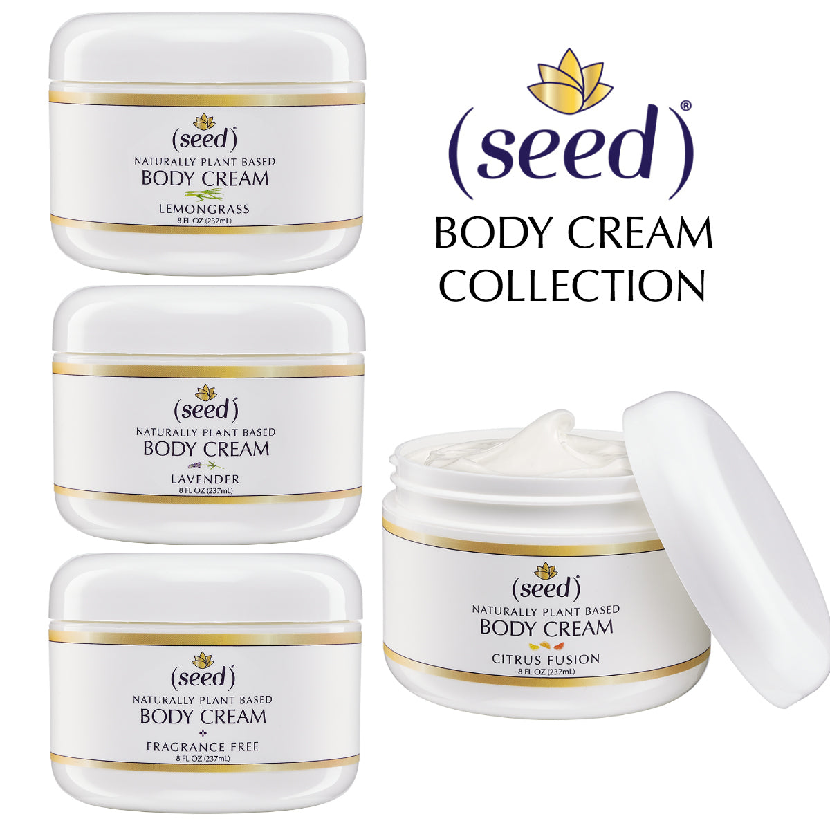 Seed Body Cream Collection