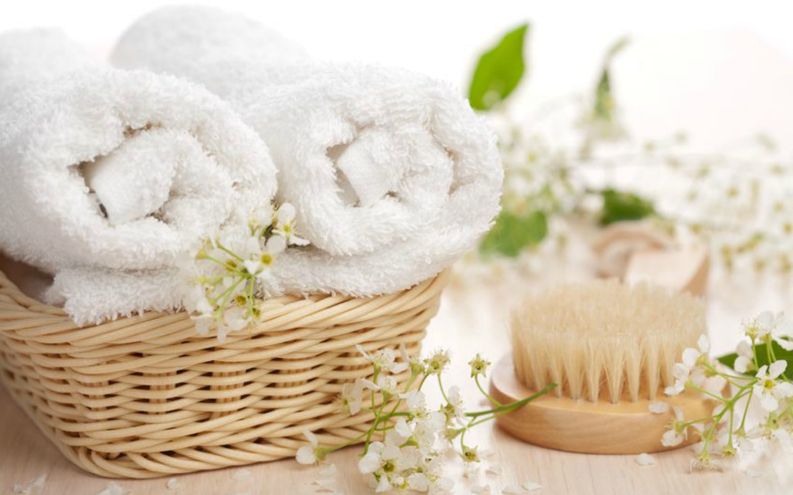 Seed Body Care -  Spring Clean up for your Skin and Body