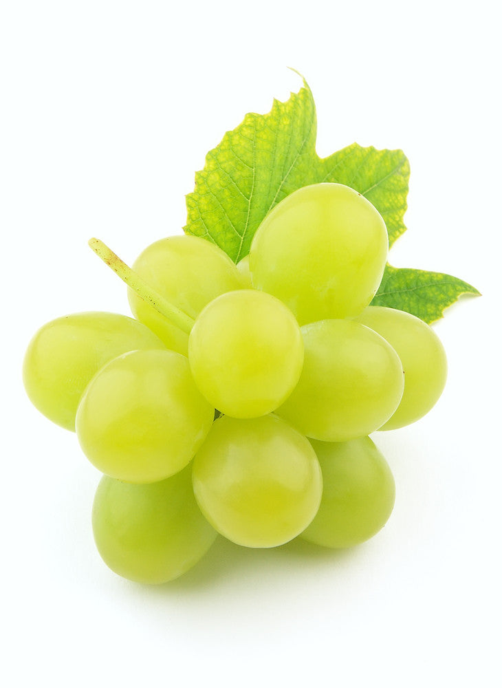 Seed Body Care features nourishing grape seed oil