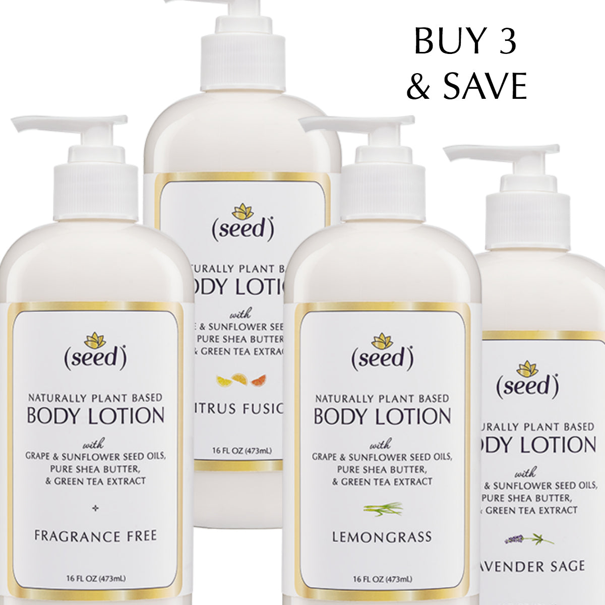 Seed Body Lotion - Buy 3 and Save