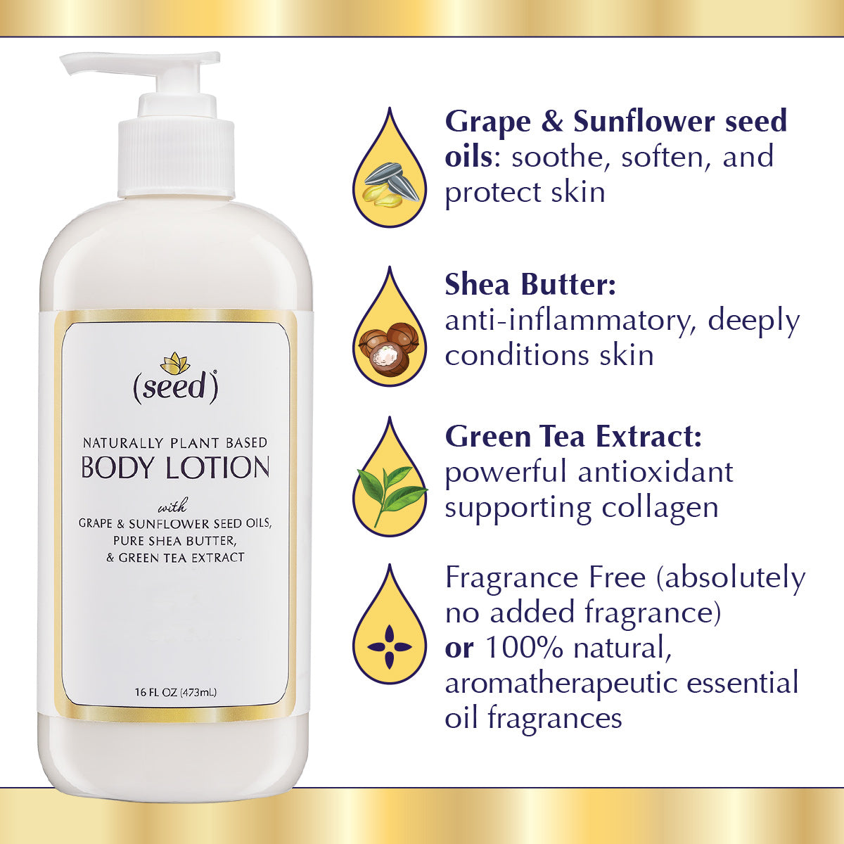 Seed Body Lotion Ingredients benefits
