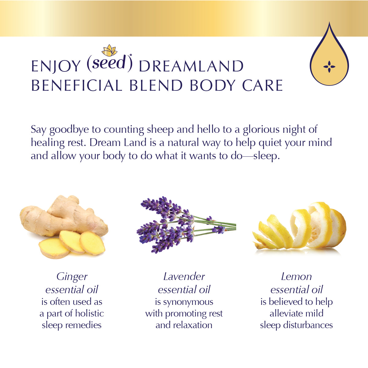 Seed Dream Land Blend Body Care with lemon, lavender, and ginger essential oils