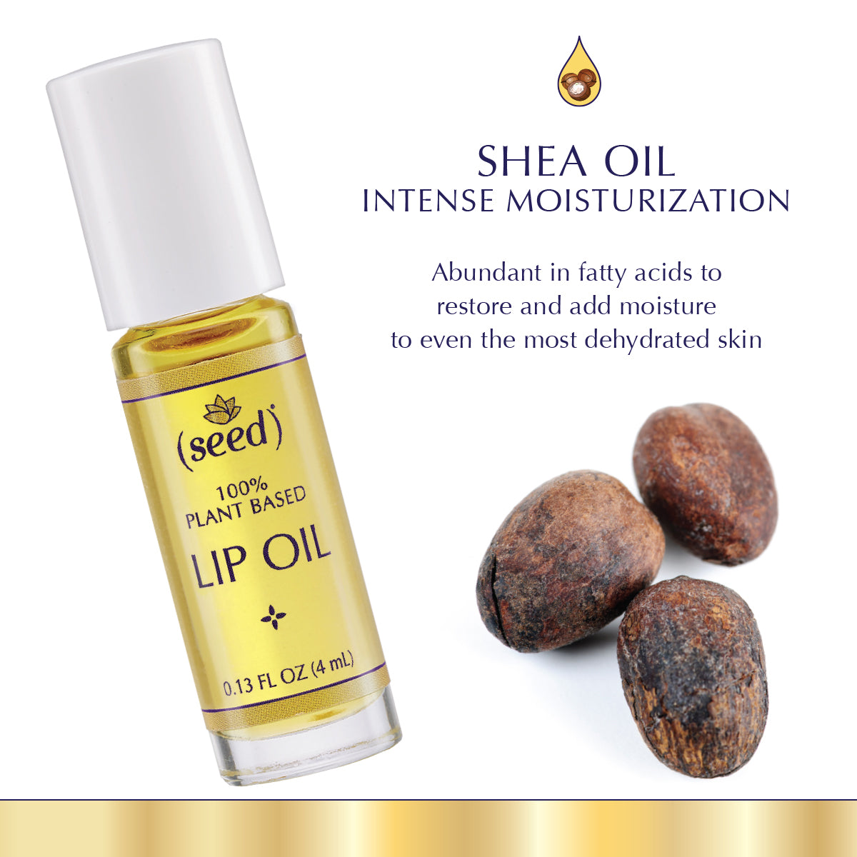 Seed Lip Oil is enriched with Shea Oil