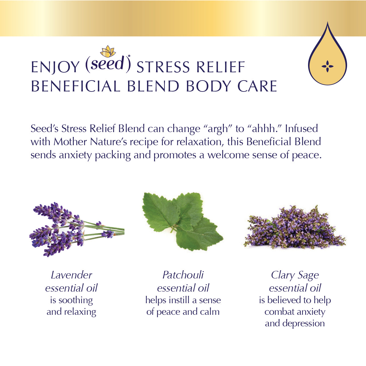 Seed Stress Relief Blend Body Care with lavender, patchouli, and clary sage essential oils