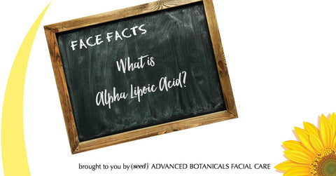 Seed Body Care Skincare Benefits of Alpha Lipoic Acid