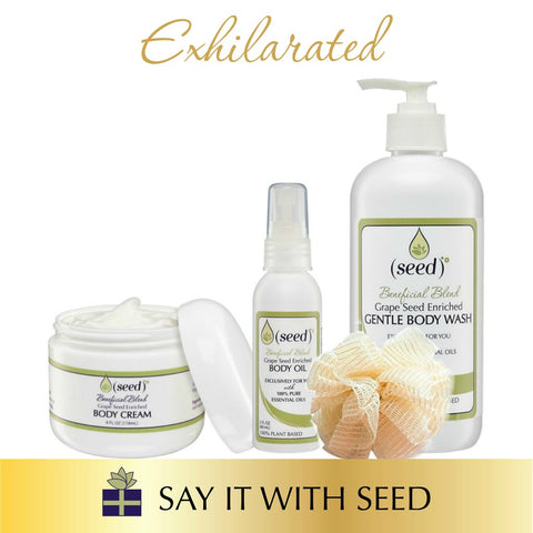 the gift of exhilaration for adventure seekers