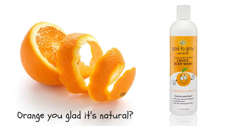 Real Orange Essential Oil in Seed