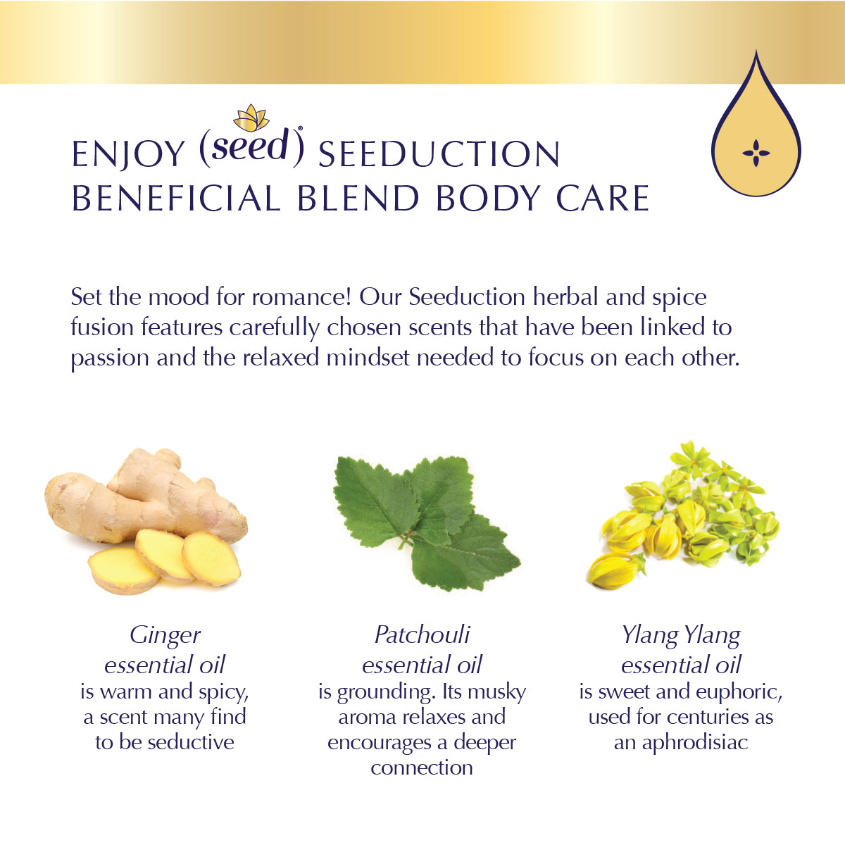 Seed Seeduction Blend Body Care with patchouli, ylang ylang, and ginger essential oils